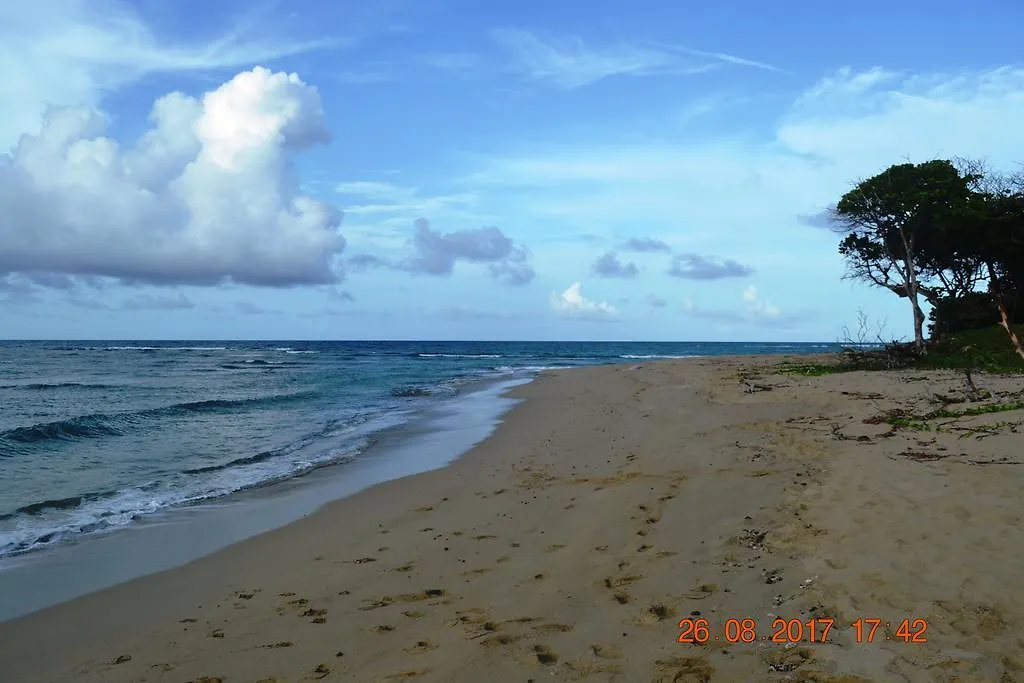 Homestay Casa In Perla Marina Apartment Puerto Plata