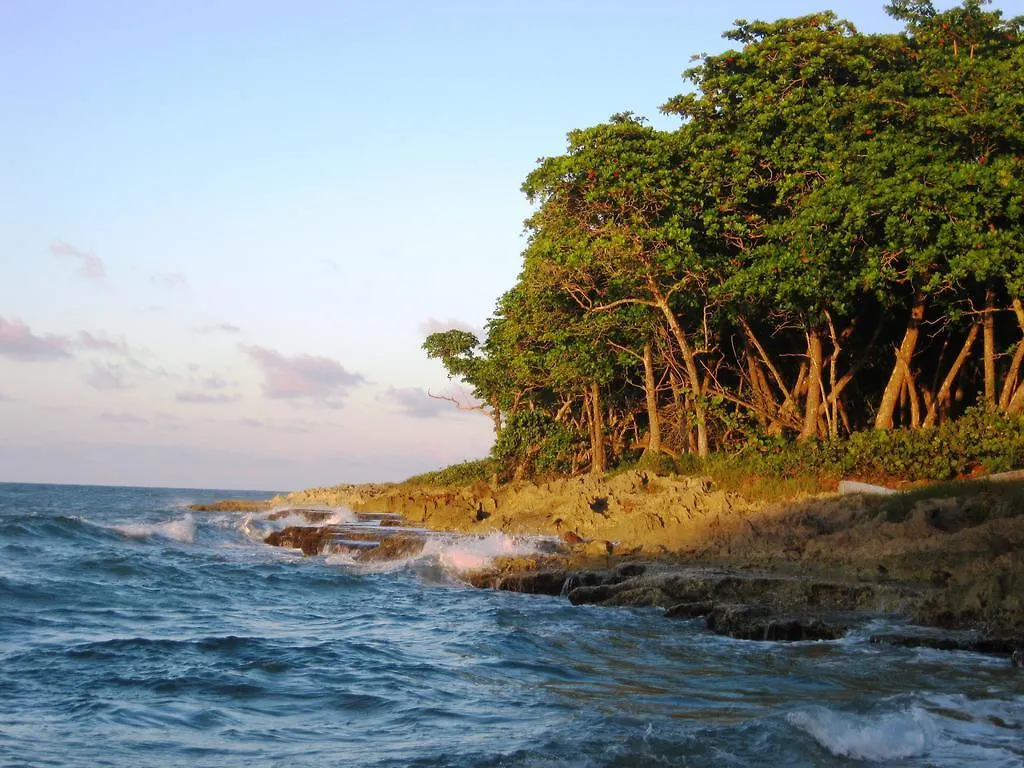 Homestay Casa In Perla Marina Apartment Puerto Plata